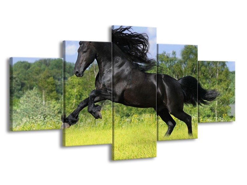 Canvas schilderij Paard | Zwart, Groen, Blauw | 150x80cm 5Luik