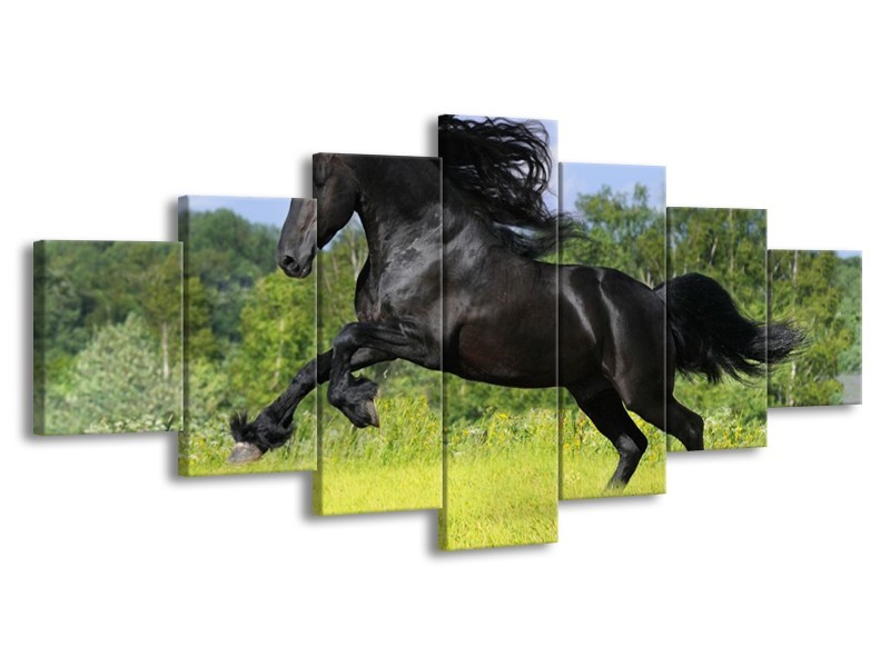 Canvas schilderij Paard | Zwart, Groen, Blauw | 210x100cm 7Luik