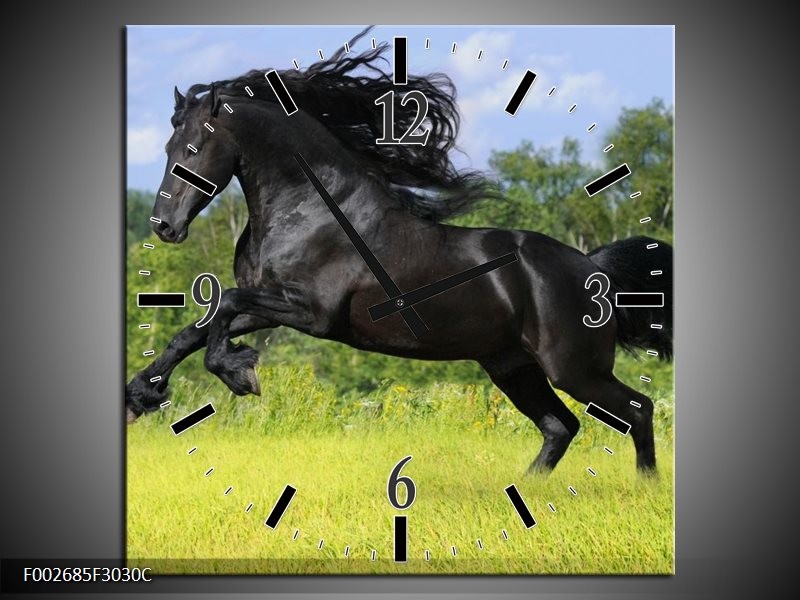 Klok schilderij Paard | Zwart, Groen, Blauw | 30x30cm 1Luik