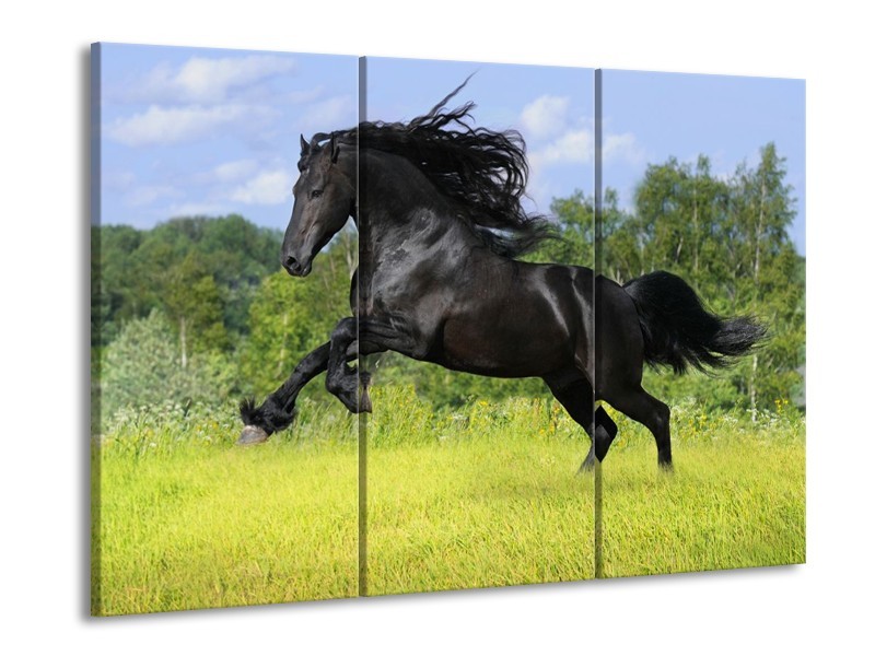 Canvas schilderij Paard | Zwart, Groen, Blauw | 90x60cm 3Luik