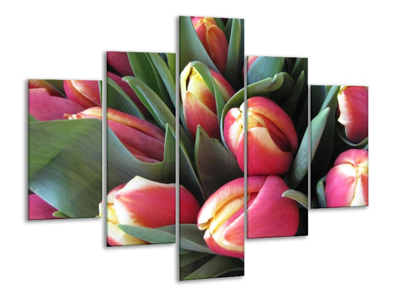 Canvas schilderij Tulp | Roze, Groen, Geel | 100x70cm 5Luik