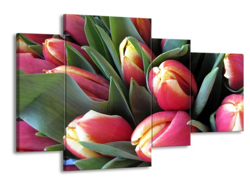 Canvas schilderij Tulp | Roze, Groen, Geel | 120x75cm 4Luik