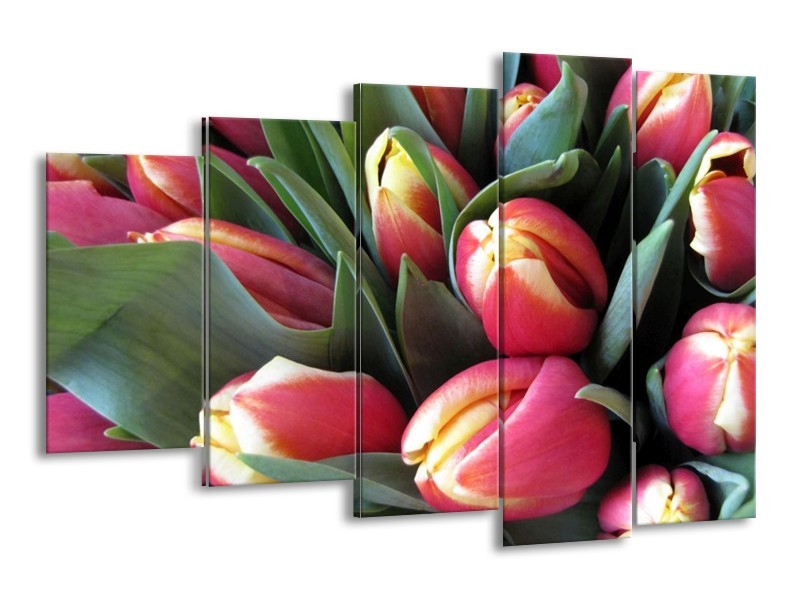 Canvas schilderij Tulp | Roze, Groen, Geel | 150x100cm 5Luik