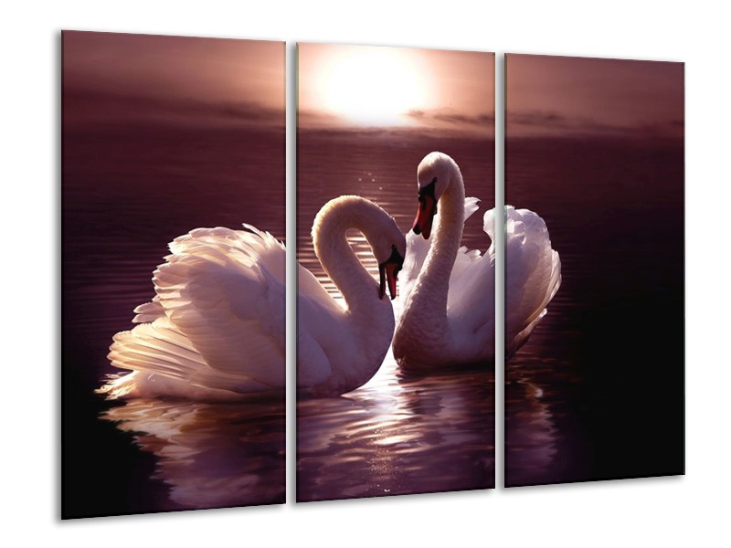 Canvas schilderij Vogels | Wit, Bruin, Zwart | 120x80cm 3Luik