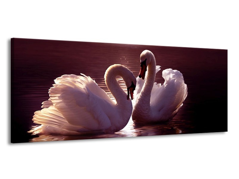 Canvas schilderij Vogels | Wit, Bruin, Zwart | 145x58cm 1Luik