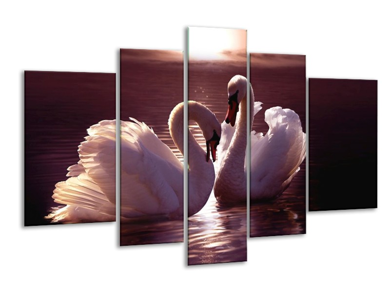 Glas schilderij Vogels | Wit, Bruin, Zwart | 170x100cm 5Luik