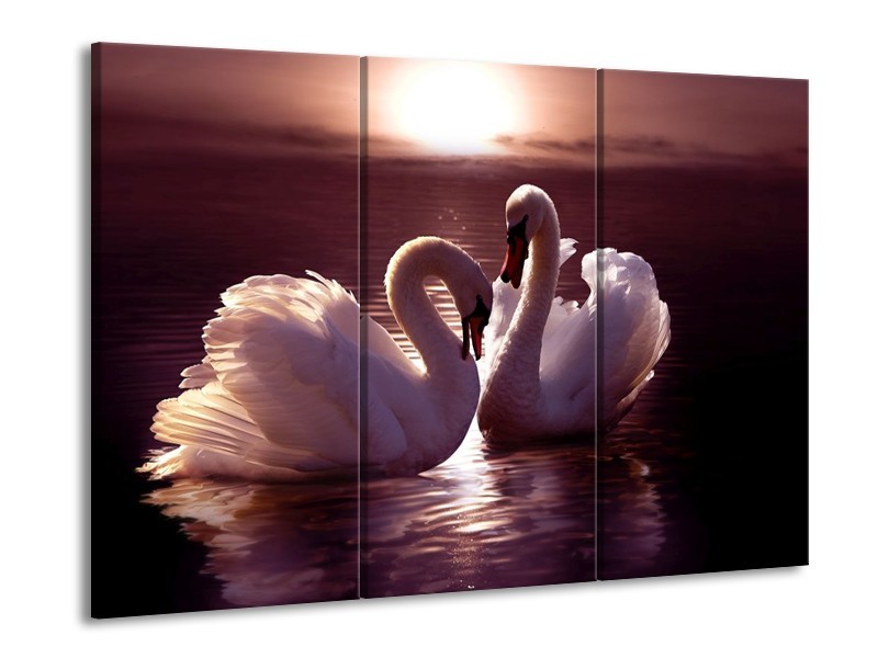 Canvas schilderij Vogels | Wit, Bruin, Zwart | 90x60cm 3Luik