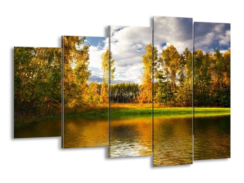 Glas schilderij Natuur | Groen, Bruin, Wit | 150x100cm 5Luik