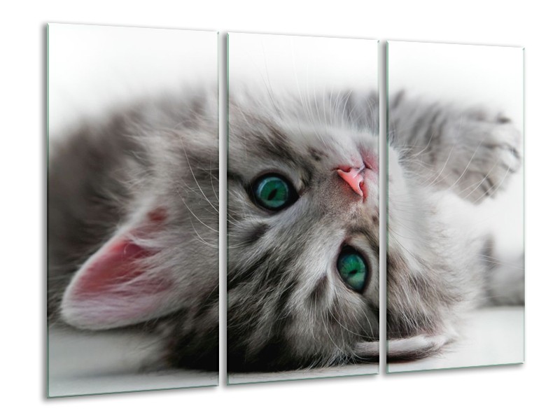Canvas schilderij Kat | Grijs, Groen, Wit | 120x80cm 3Luik