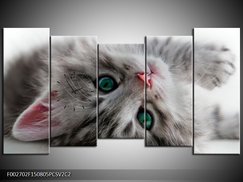 Klok schilderij Kat | Grijs, Groen, Wit | 150x80cm 5Luik