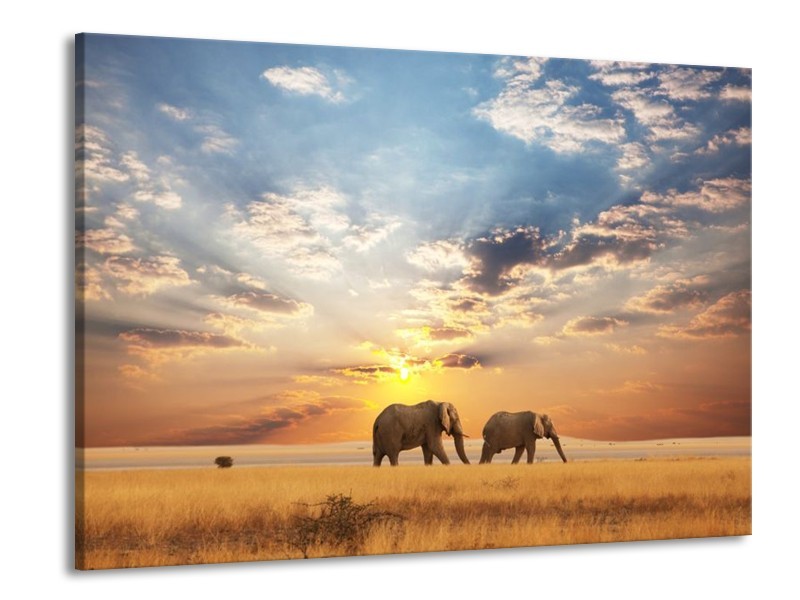 Canvas schilderij Olifant | Grijs, Geel, Blauw | 100x70cm 1Luik