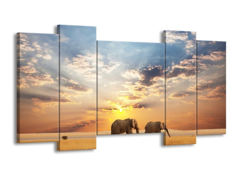 Canvas schilderij Olifant | Grijs, Geel, Blauw | 120x65 5Luik