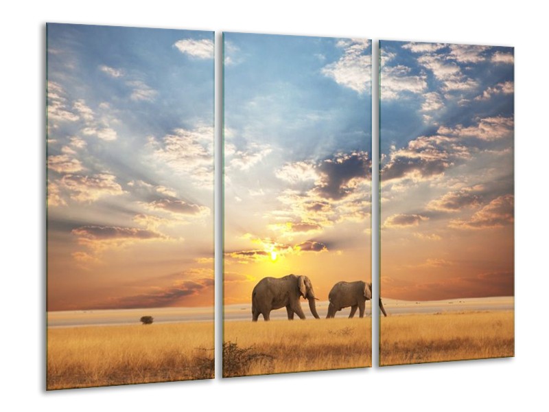 Canvas schilderij Olifant | Grijs, Geel, Blauw | 120x80cm 3Luik