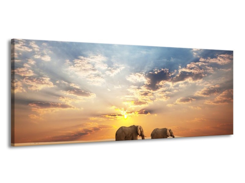 Canvas schilderij Olifant | Grijs, Geel, Blauw | 145x58cm 1Luik