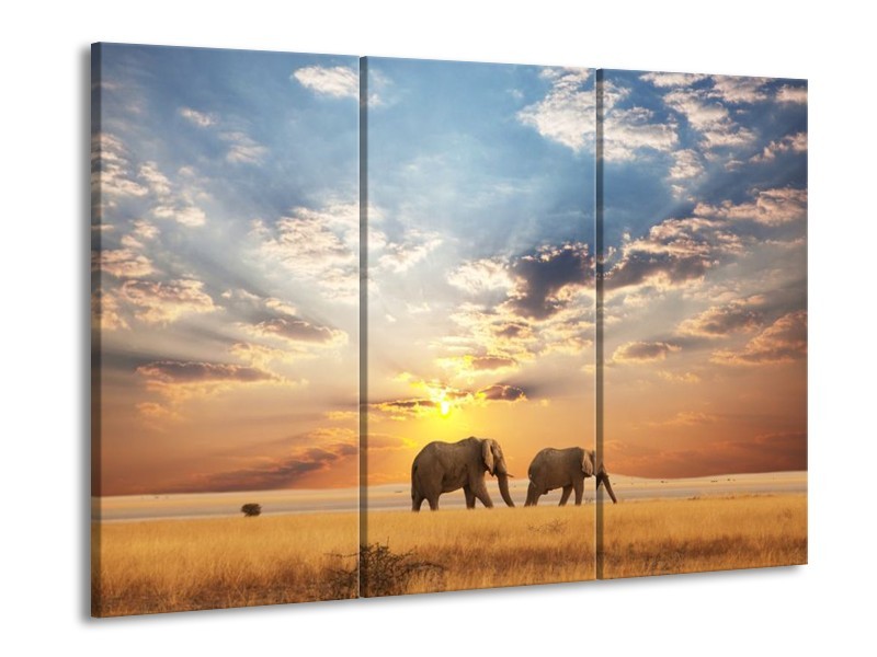 Canvas schilderij Olifant | Grijs, Geel, Blauw | 90x60cm 3Luik