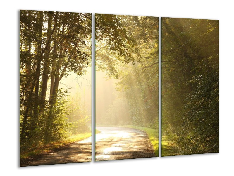 Canvas schilderij Natuur | Groen, Wit, Grijs | 120x80cm 3Luik