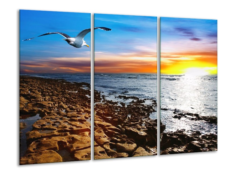 Canvas schilderij Zee | Bruin, Blauw, Geel | 120x80cm 3Luik