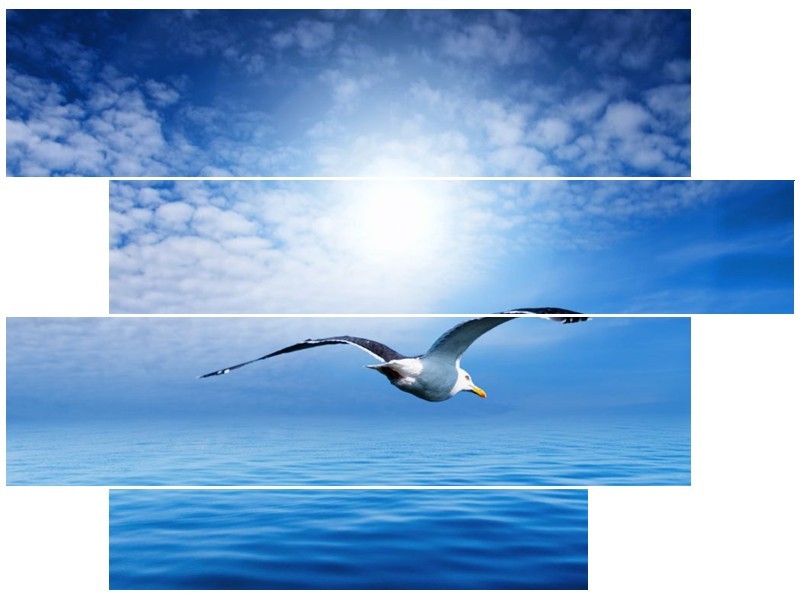 Glas schilderij Vogel | Wit, Blauw | 115x85cm 4Luik