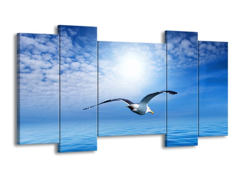 Canvas schilderij Vogel | Wit, Blauw | 120x65 5Luik