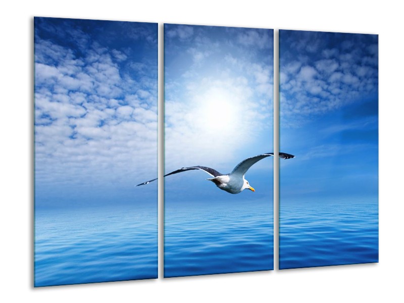 Canvas schilderij Vogel | Wit, Blauw | 120x80cm 3Luik