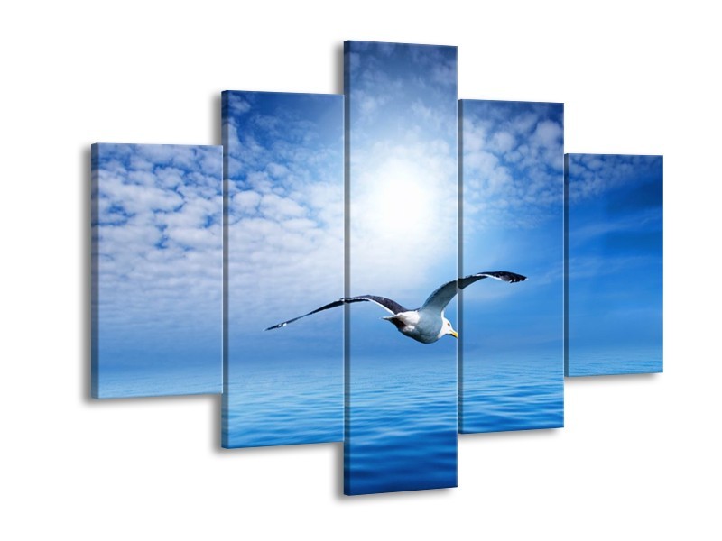 Glas schilderij Vogel | Wit, Blauw | 150x105cm 5Luik