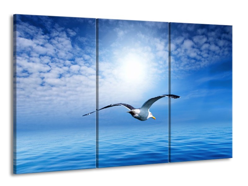 Canvas schilderij Vogel | Wit, Blauw | 165x100cm 3Luik