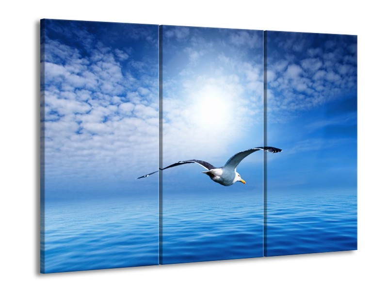 Canvas schilderij Vogel | Wit, Blauw | 90x60cm 3Luik