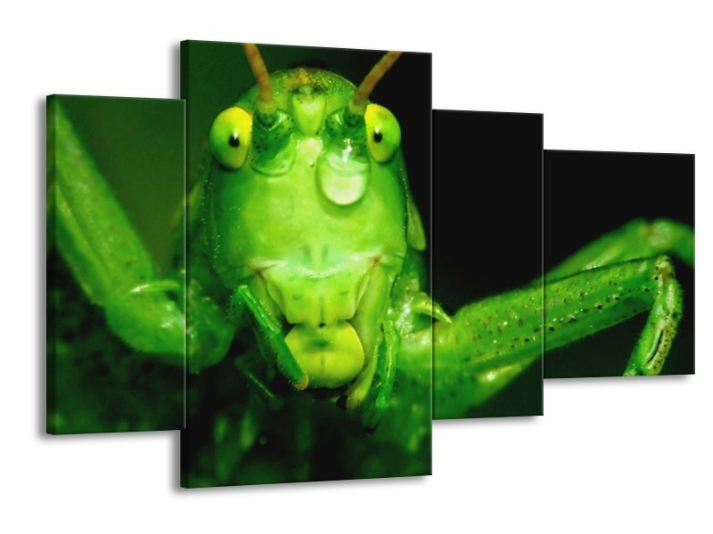 Canvas schilderij Sprinkhaan | Groen, Zwart | 120x75cm 4Luik