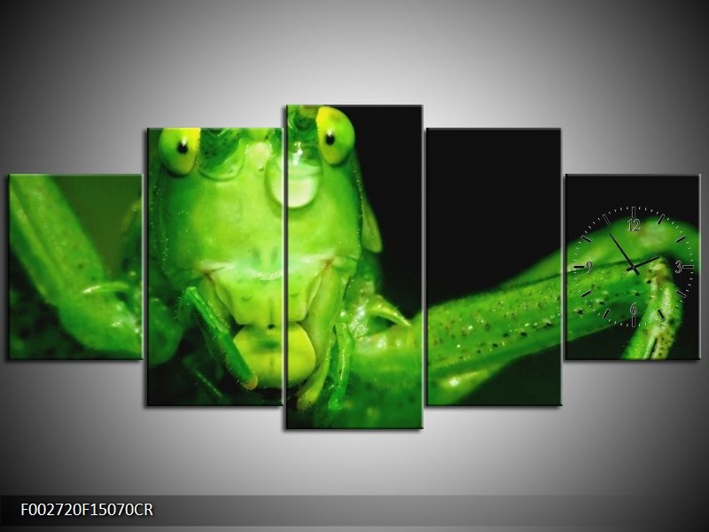 Klok schilderij Sprinkhaan | Groen, Zwart | 150x70cm 5Luik