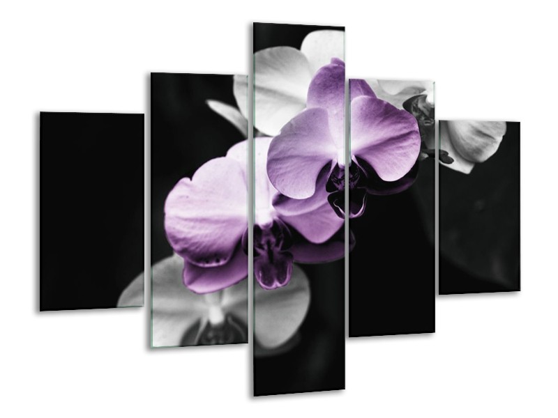 Canvas schilderij Orchidee | Paars, Zwart, Grijs | 100x70cm 5Luik