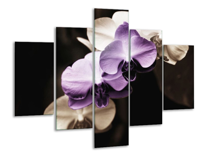 Canvas schilderij Orchidee | Paars, Zwart, Grijs | 100x70cm 5Luik