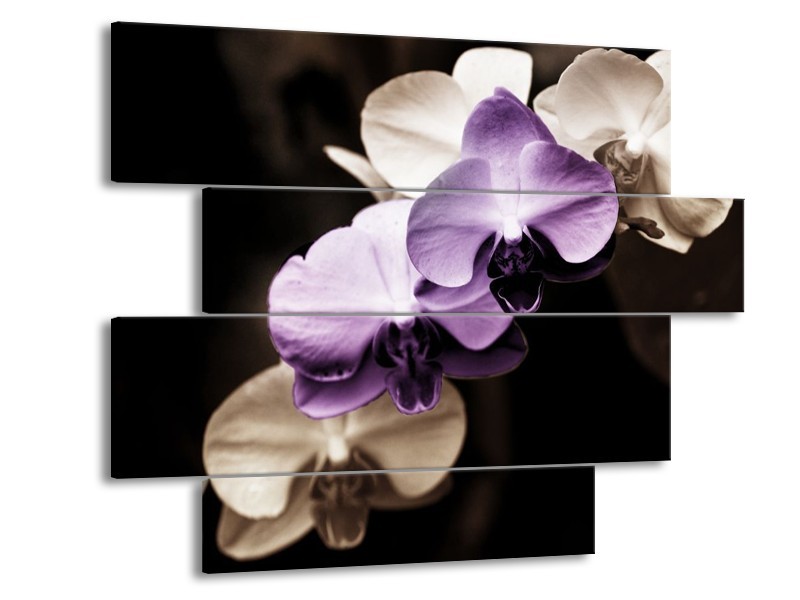 Canvas schilderij Orchidee | Paars, Zwart, Grijs | 115x85cm 4Luik