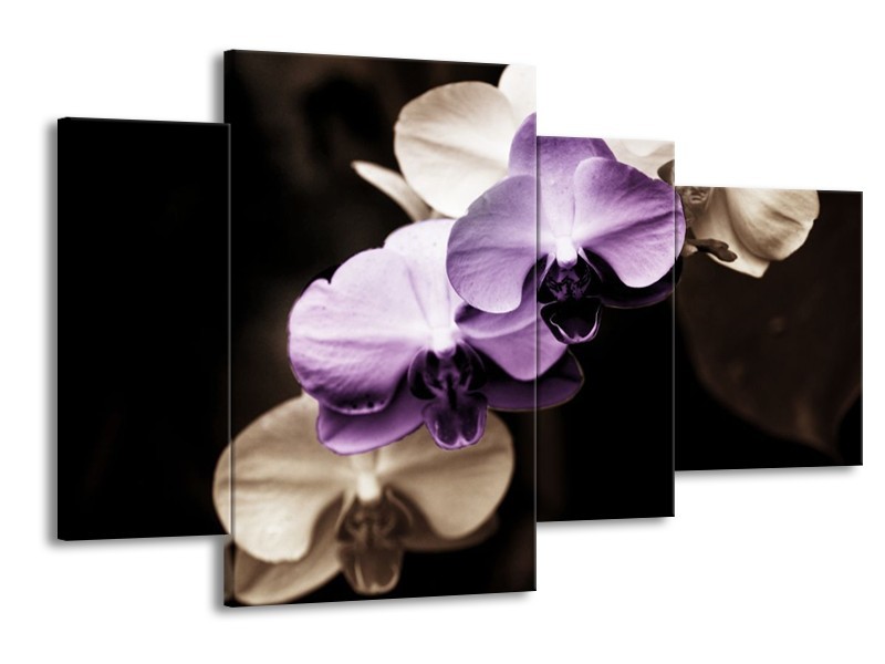Canvas schilderij Orchidee | Paars, Zwart, Grijs | 120x75cm 4Luik