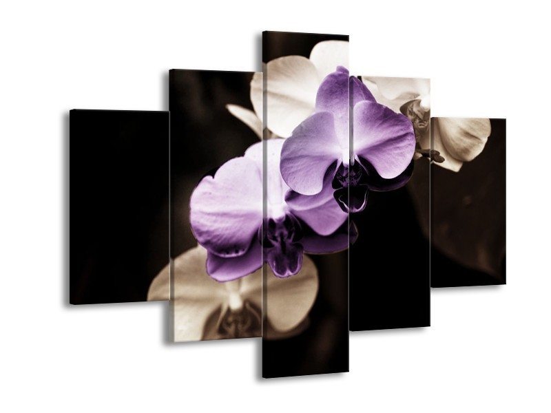 Canvas schilderij Orchidee | Paars, Zwart, Grijs | 150x105cm 5Luik
