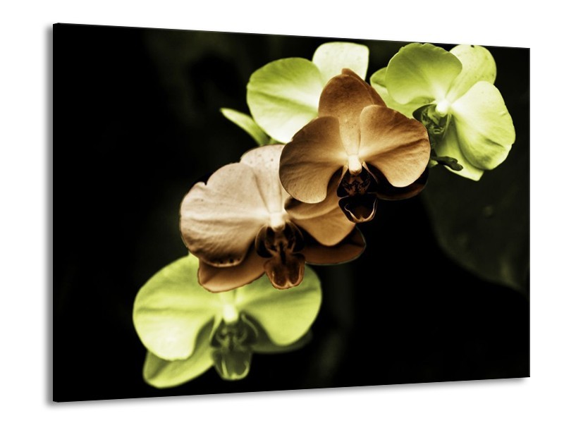 Canvas schilderij Orchidee | Groen, Bruin, Zwart | 100x70cm 1Luik