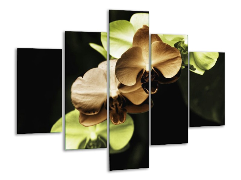 Canvas schilderij Orchidee | Groen, Bruin, Zwart | 100x70cm 5Luik