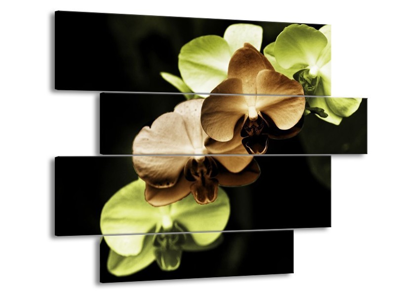 Canvas schilderij Orchidee | Groen, Bruin, Zwart | 115x85cm 4Luik