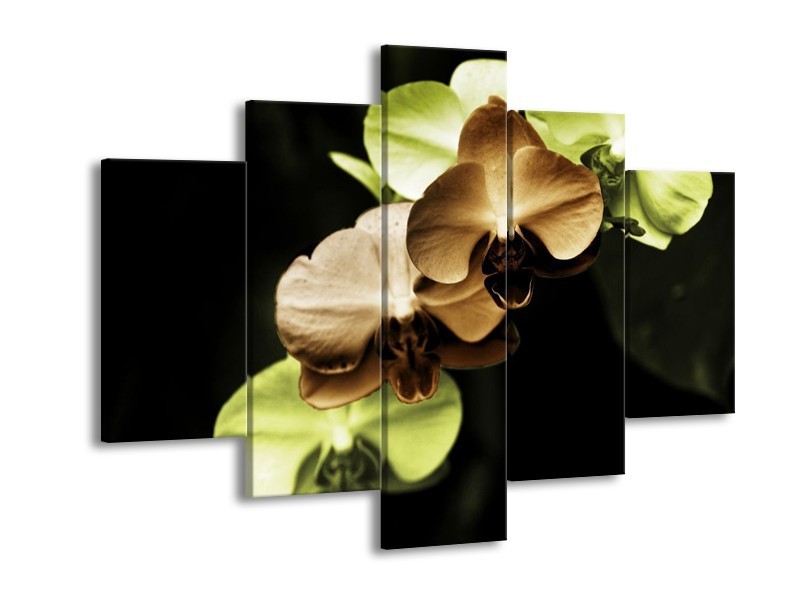Canvas schilderij Orchidee | Groen, Bruin, Zwart | 150x105cm 5Luik