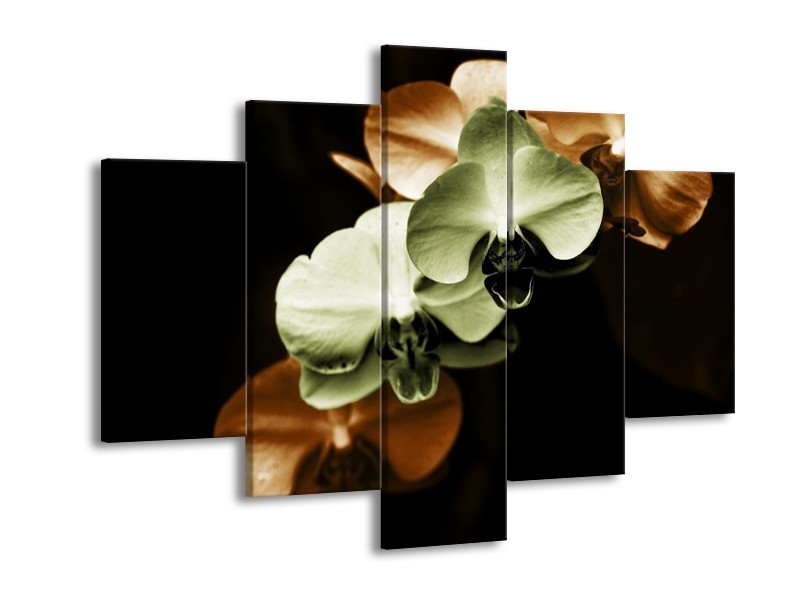 Canvas schilderij Orchidee | Groen, Bruin, Zwart | 150x105cm 5Luik