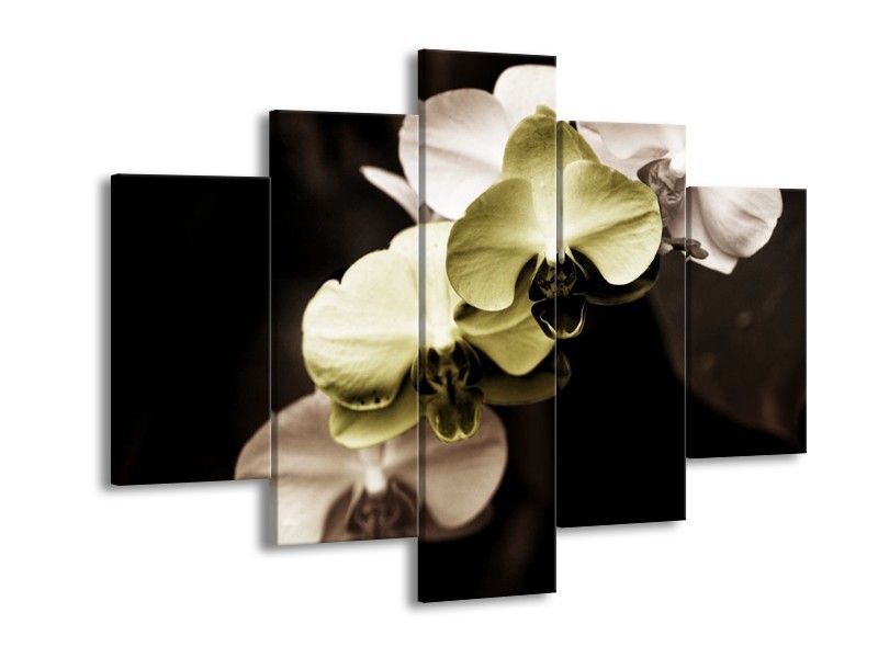 Canvas schilderij Orchidee | Groen, Zwart, Grijs | 150x105cm 5Luik