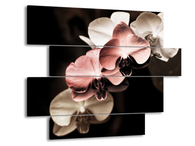 Canvas schilderij Orchidee | Bruin, Zwart, Grijs | 115x85cm 4Luik