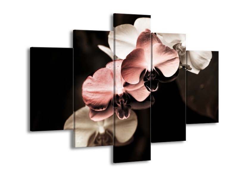 Canvas schilderij Orchidee | Bruin, Zwart, Grijs | 150x105cm 5Luik