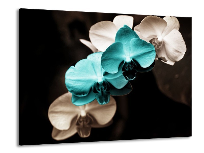 Canvas schilderij Orchidee | Blauw, Zwart, Grijs | 100x70cm 1Luik