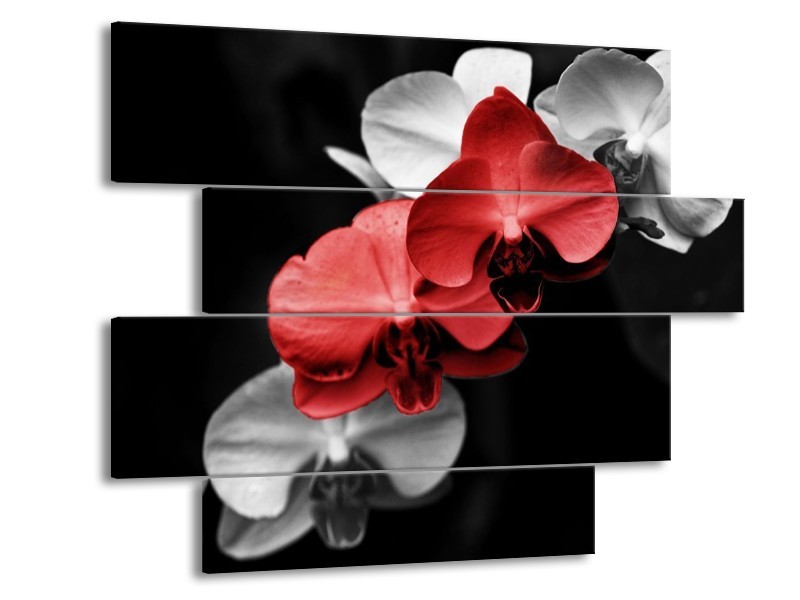 Canvas schilderij Orchidee | Rood, Zwart, Grijs | 115x85cm 4Luik