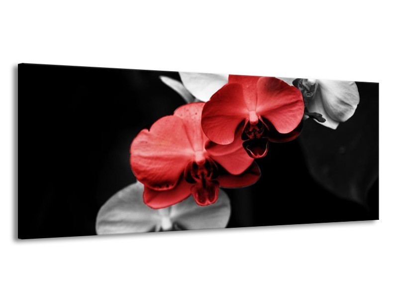 Canvas schilderij Orchidee | Rood, Zwart, Grijs | 145x58cm 1Luik