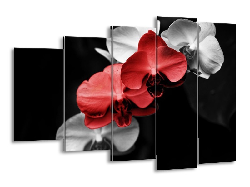 Canvas schilderij Orchidee | Rood, Zwart, Grijs | 150x100cm 5Luik
