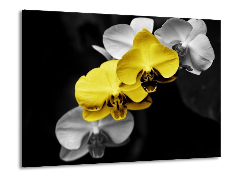 Canvas schilderij Orchidee | Geel, Zwart, Grijs | 100x70cm 1Luik