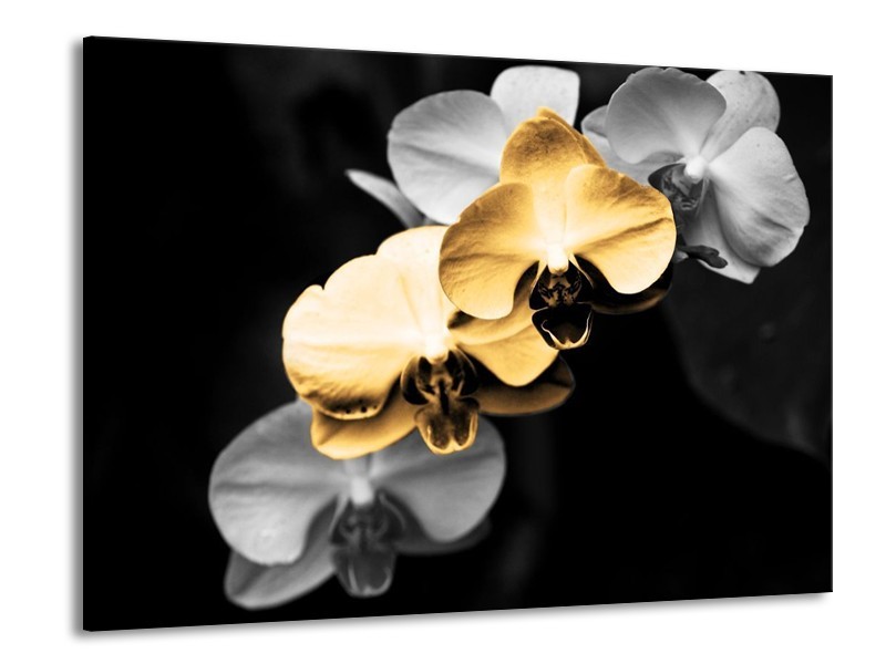 Canvas schilderij Orchidee | Oranje, Zwart, Grijs | 100x70cm 1Luik