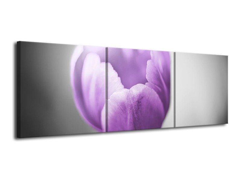 Canvas schilderij Tulp | Paars, Grijs, Wit | 120x40cm 3Luik