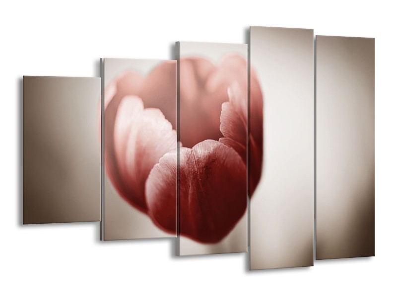 Canvas schilderij Tulp | Grijs, Bruin, Wit | 150x100cm 5Luik